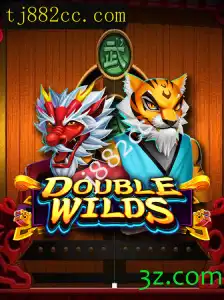 DoubleWilds: Uma Jornada em Dobro no Universo dos Jogos